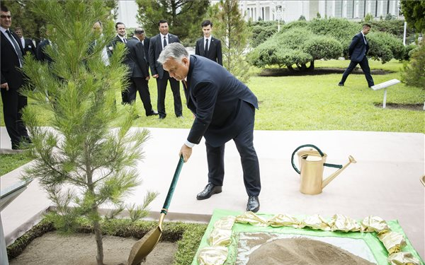 Orbán Viktor fát ültetett Türkmenisztánban
