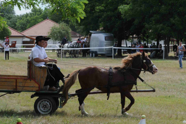 Laska fesztivál - szombat délelőtt