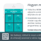 Családi tökfaragás az Oázis Kertészetben