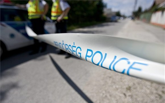 Utcai verekedés, garázdaság, lopás