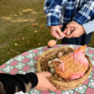 Sportnap az idősek otthonában