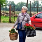 6 ezer palánta a Szebb-virágosabb Ceglédért 🌼