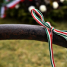 Március 15-i ünnepség - Kisfaludi István fotó