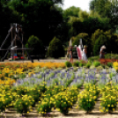 Kováts Zoltán Emlékülés Csemőben