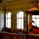 Szebb, virágosabb Ceglédért díjátatdó