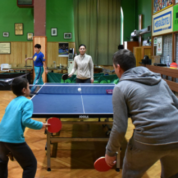 Nyitott terem-asztalitenisz 