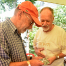 90 éves a Cegléd Városi Sportuszoda