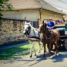 Nyitott Pince Napok - lovaskocsik