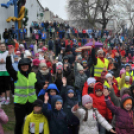 Pest Megyei Futó- és Gyaloglónap