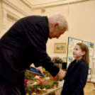 Legszebb rajzok - legszebb kertek