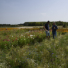 Kováts Zoltán Emlékülés Csemőben