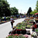 25. Dél-Pest Megyei Anyák Napi Virágvásár és Anyám Tyúkja Főzőfesztivál