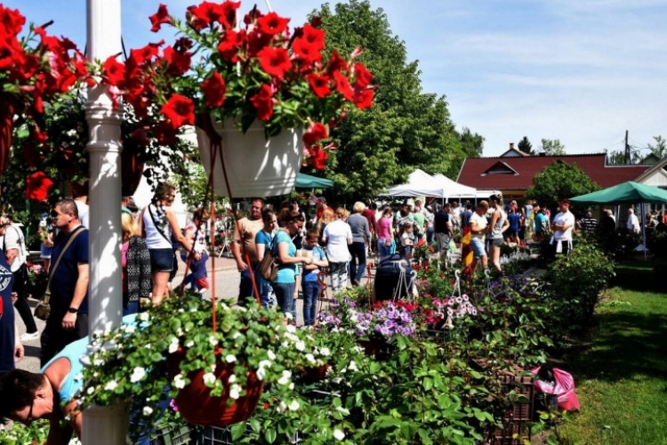 Elmarad a Virágos Csemő Fesztivál