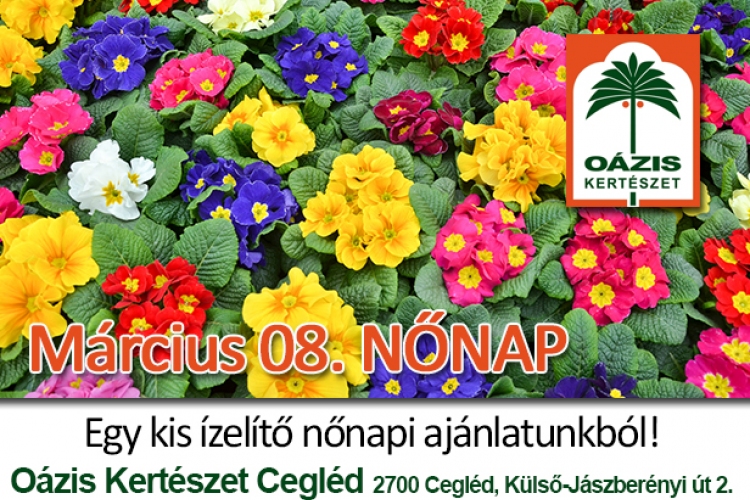 Nőnap 2014