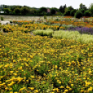 Kováts Zoltán Emlékülés Csemőben