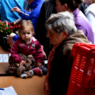6 ezer palánta a Szebb-virágosabb Ceglédért 🌼