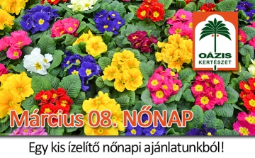 Nőnap 2014