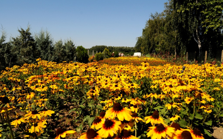 Színpompás bemutató