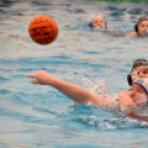 Országos póló bajnokság