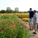 Kováts Zoltán Emlékülés Csemőben