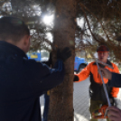 Karácsonyi készülődés a Szabadság téren