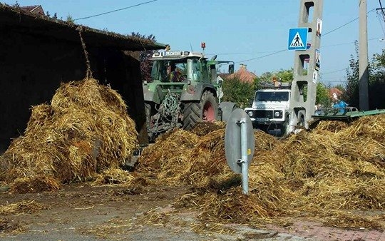 Megtrágyázták a Felszegi utat