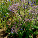 Kováts Zoltán Emlékülés Csemőben