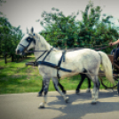 Nyitott Pince Napok - 2014