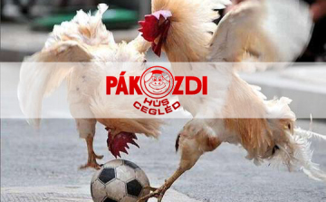 Elkezdődtek a visszavágók