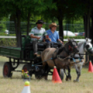 Laska fesztivál - szombat délelőtt