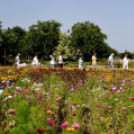 Kováts Zoltán Emlékülés Csemőben