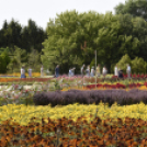 Kováts Zoltán Emlékülés Csemőben