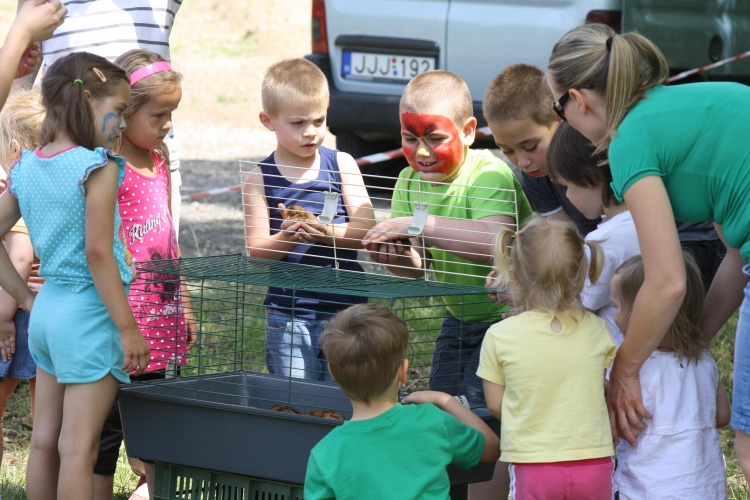 Városi Nyitott Pince Napok 2013