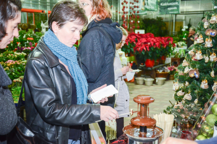 Orchideák éjszakája az Oázis kertészetben