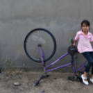 Képesek az önellátásra