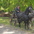 Nyitott Pince Napok - Kökény és Fia Családi Borászat
