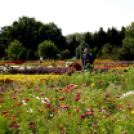 Kováts Zoltán Emlékülés Csemőben