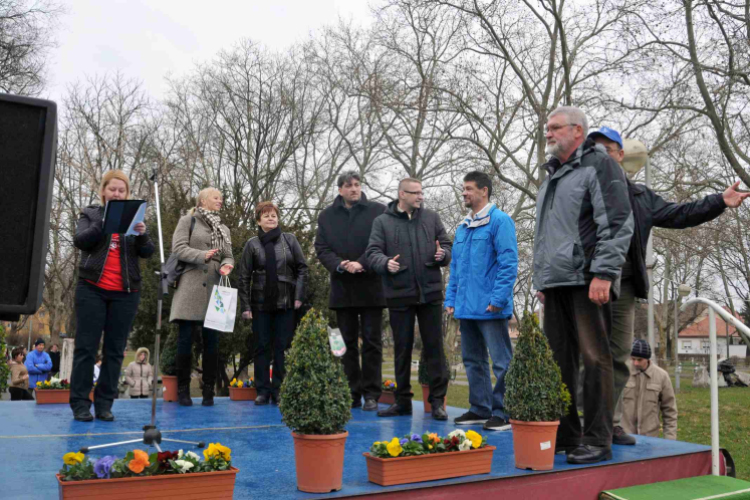 Pest Megyei Futó- és Gyaloglónap