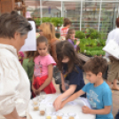 Rózsák Hétvégéje - Oázis Kertészeti Áruház